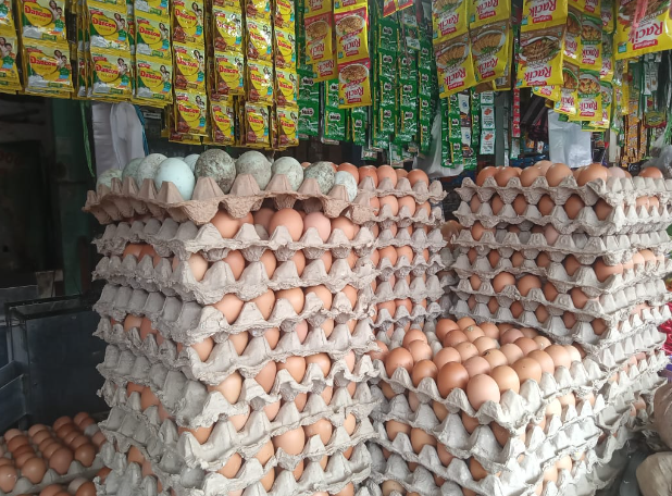 Harga Telur di Mamuju Meroket, Capai Rp 57.000 Per Rak