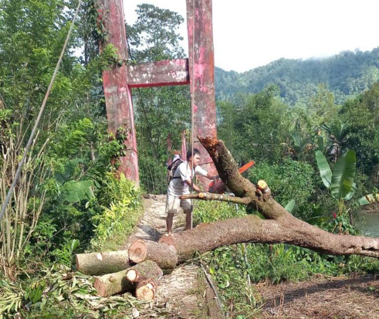 Pohon Tumbang Menimpa Jembatan Gantung di Mamuju