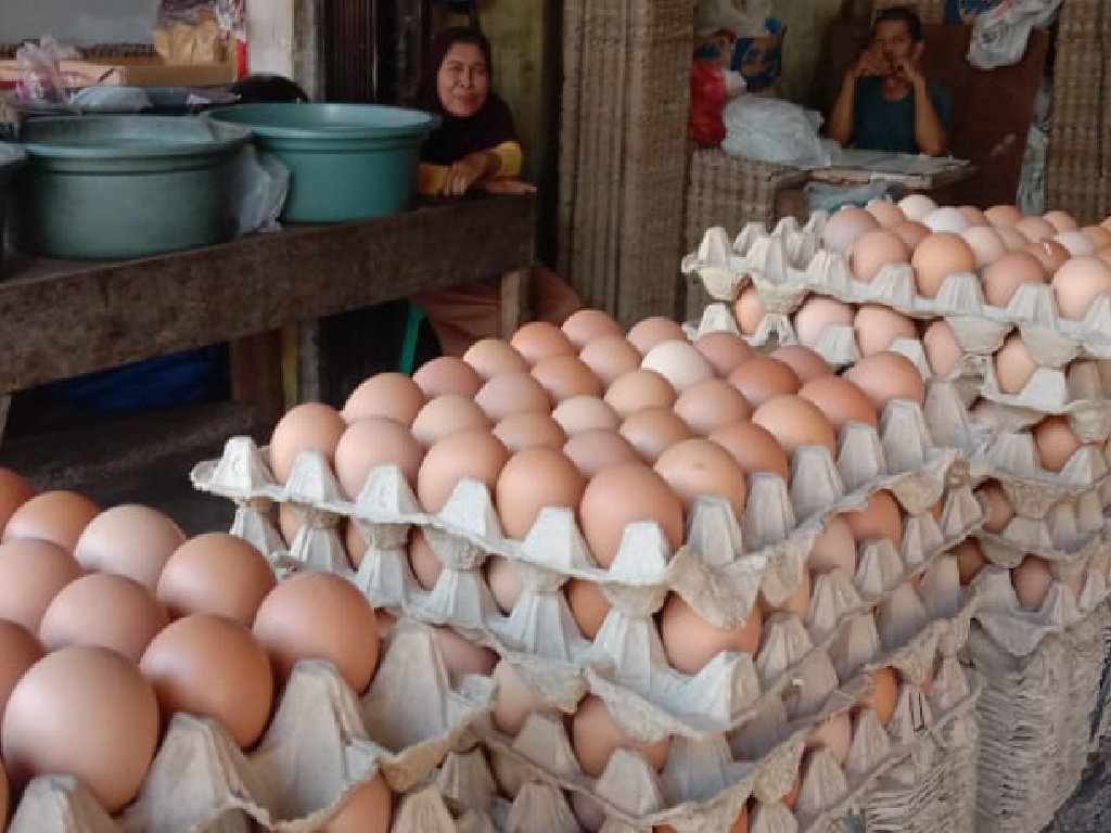 Harga Terbaru Bahan Dapur di Blangpidie Abdya Saat BBM Naik