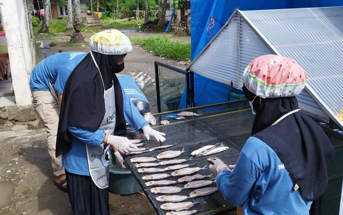 Dosen Fapetkan Unsulbar Gelar Pelatihan Pengolahan Hingga Pemasaran Ikan Tuing-tuing