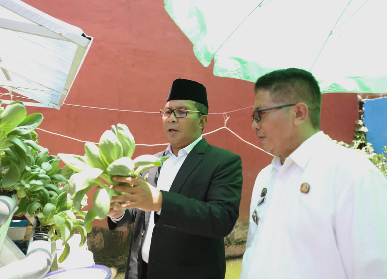 Wali Kota Makassar Imbau Warga Manfaatkan Lahan Kosong untuk Bercocok Tanam