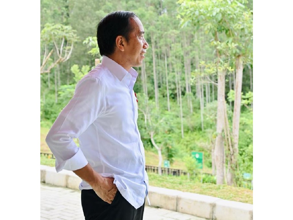 Tinjau IKN, Jokowi Optimis Januari 2023 Ada Geliat Pembangunan Gedung