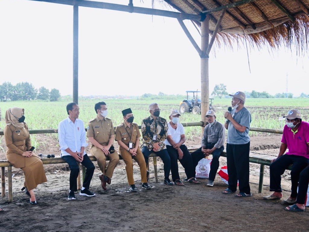 Jokowi Janjikan 700 Ribu Hektare Lahan untuk Tanaman Tebu