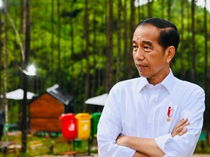 Begini Cara Jokowi Menyelesaikan Nasib Para Tenaga Honorer