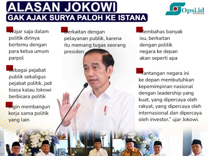 Infografis: Alasan Jokowi Gak Ajak Surya Paloh ke Istana 
