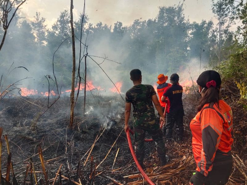 Kebakaran Lahan Seluas 26 Hektare di Kabupaten Barito Selatan