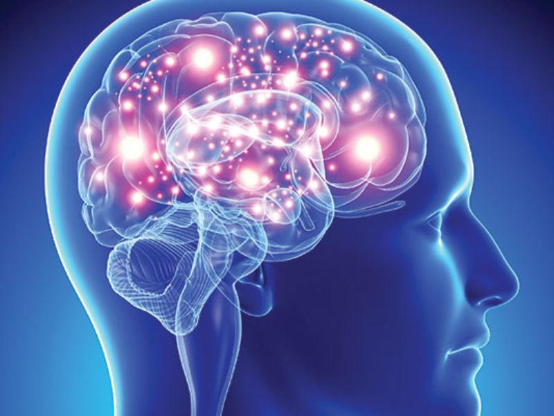 Lima Kiat Bikin Otakmu Kembali Berfungsi Optimal