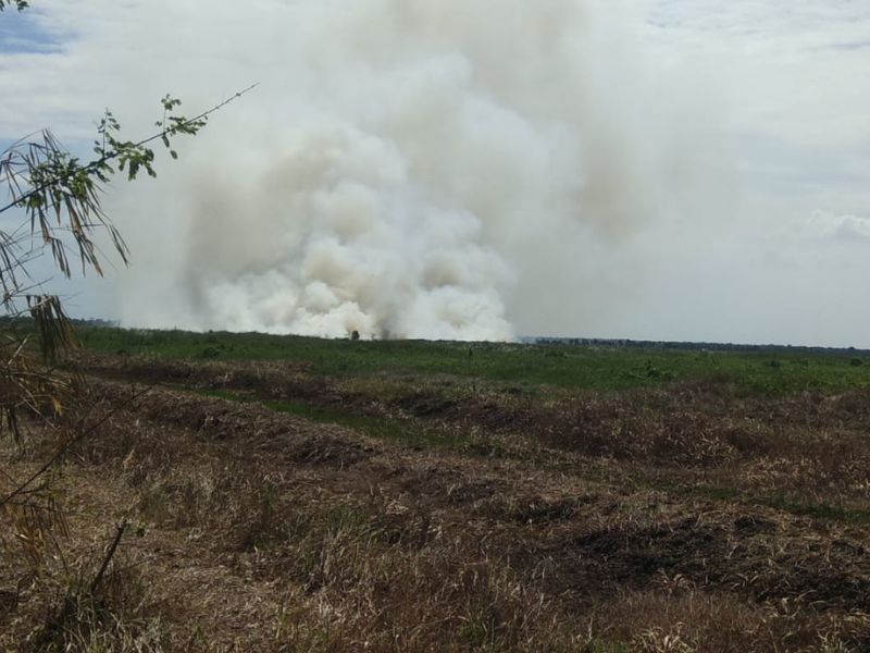 Sebanyak 6,3 Hektare Lahan Terbakar di Kalimantan Selatan