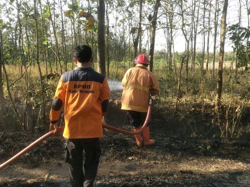 Karhutla di Dua Wilayah Jawa Tengah, Lima Hektare Lahan Terbakar