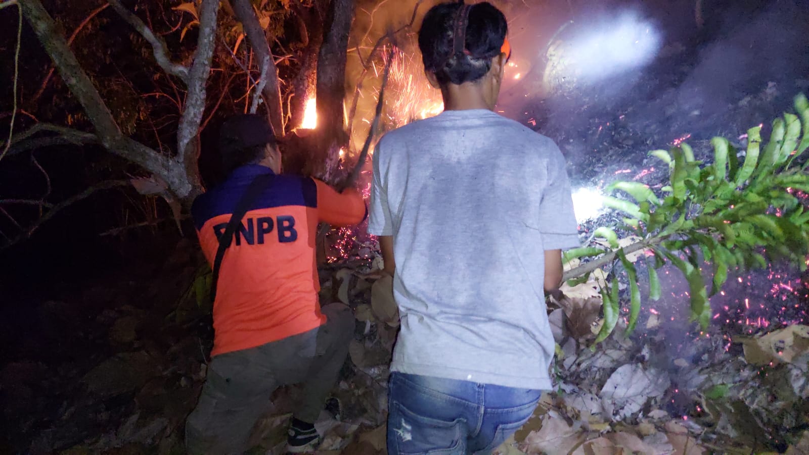 Pembakaran Lahan Diduga Penyebab Karhutla di Mamuju