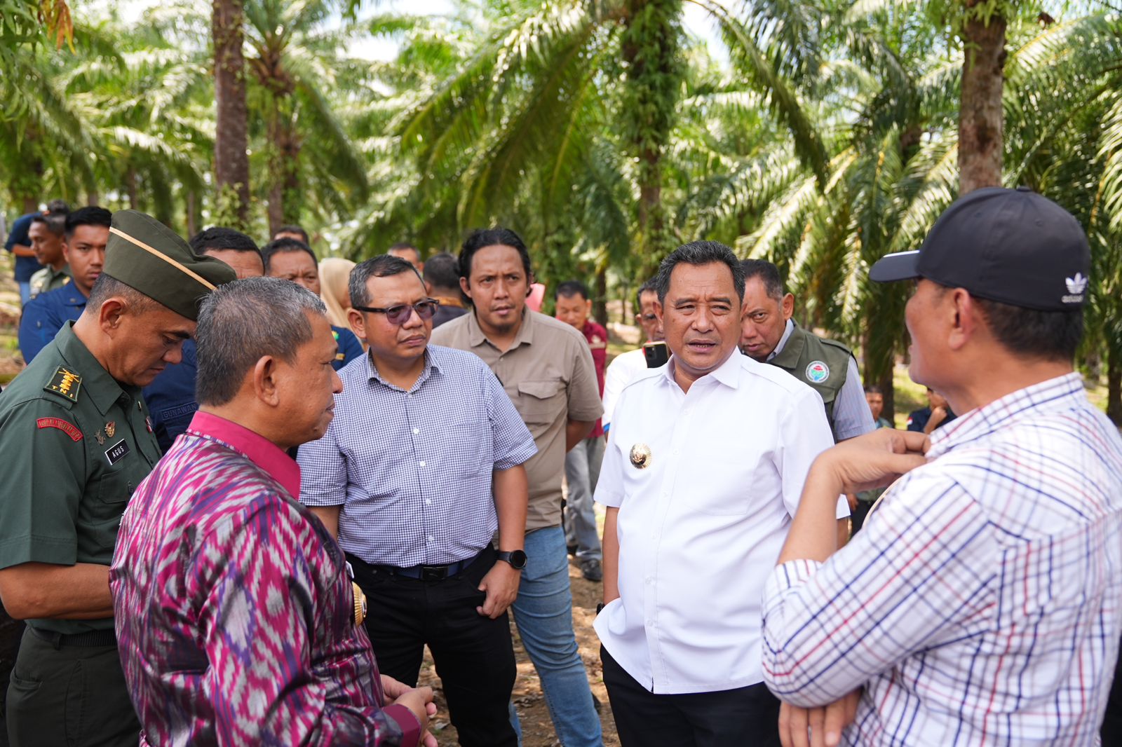 Pj Gubernur Sulsel Ingin Jadikan Wajo Sebagai Penghasil Pisang Terbesar di Indonesia