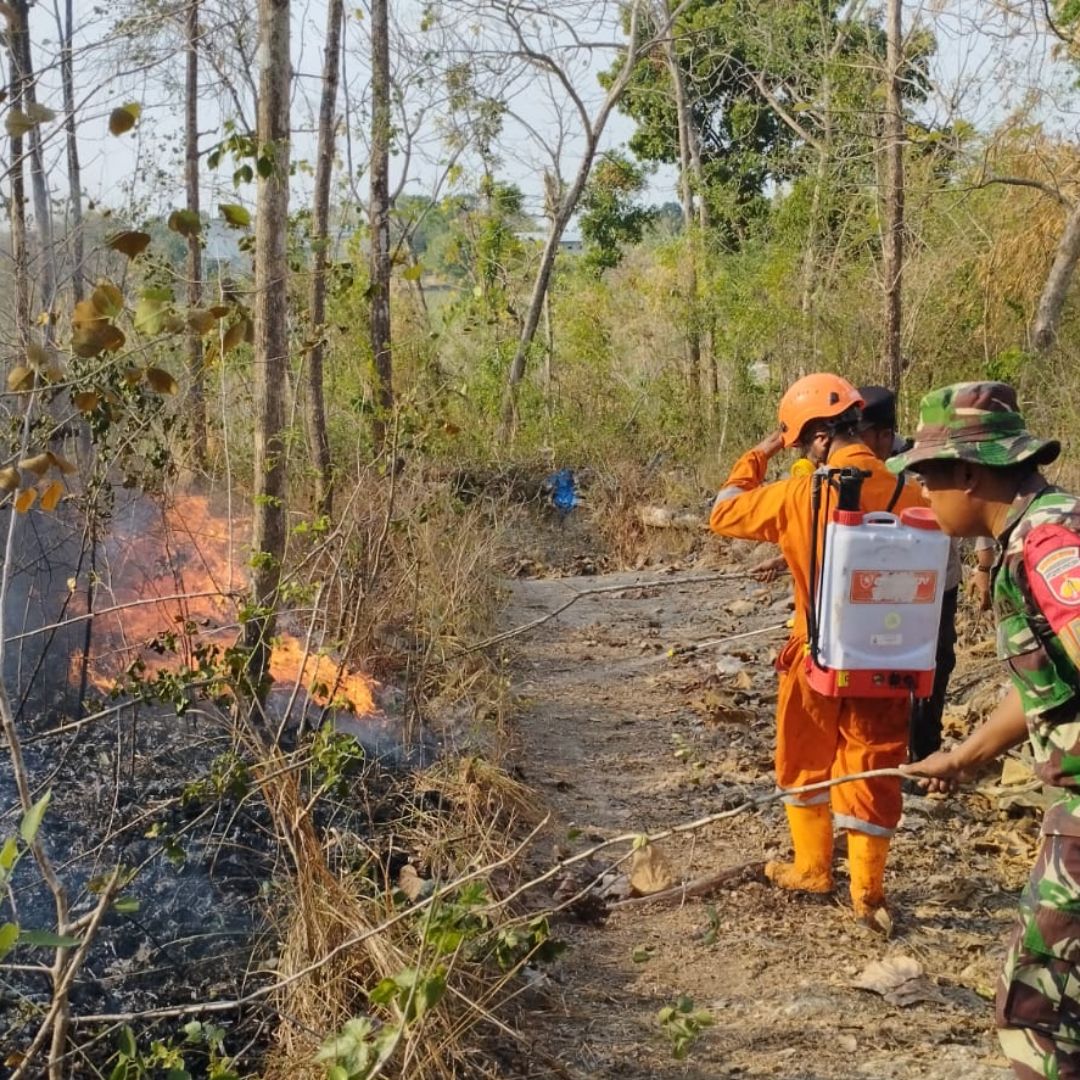 Lahan Terbakar 9 Hektare di Sragen Buntut Warga Bakar Sampah