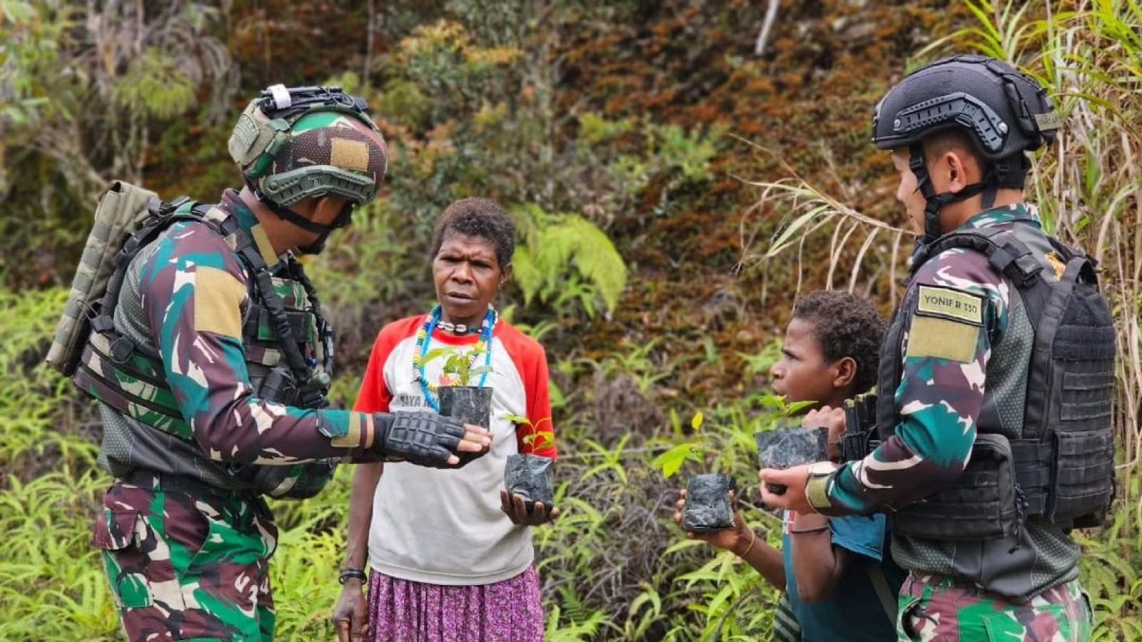 Sambut HUT ke-63 Kostrad, Satgas Yonif 330 Tanam 100 Bibit Pohon Mahoni di Intan Jaya