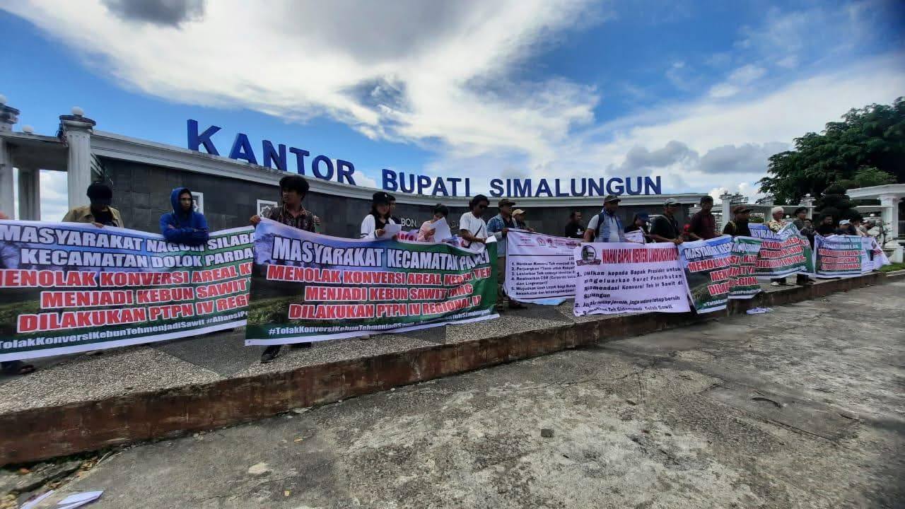 Bupati Simalungun Tolak Kebun Teh Jadi Sawit oleh PTPN IV Sidamanik