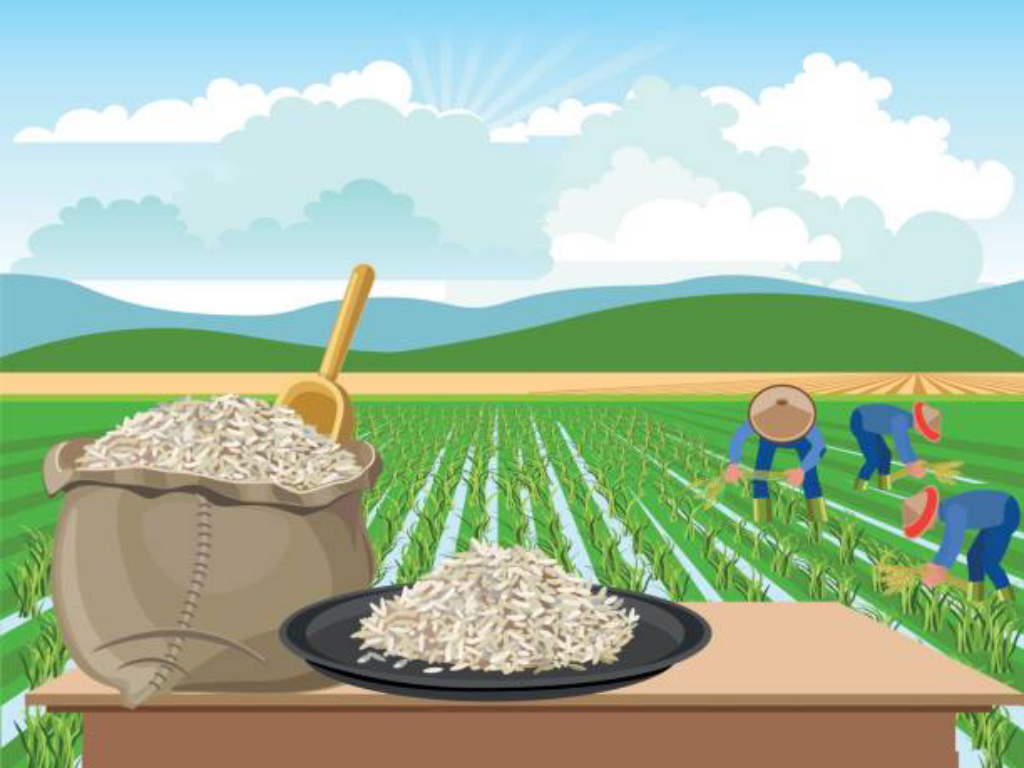 Zulhas-AHY-Nusron Pimpin Tim Khusus Jaga Lahan Pertanian dari Alih Fungsi