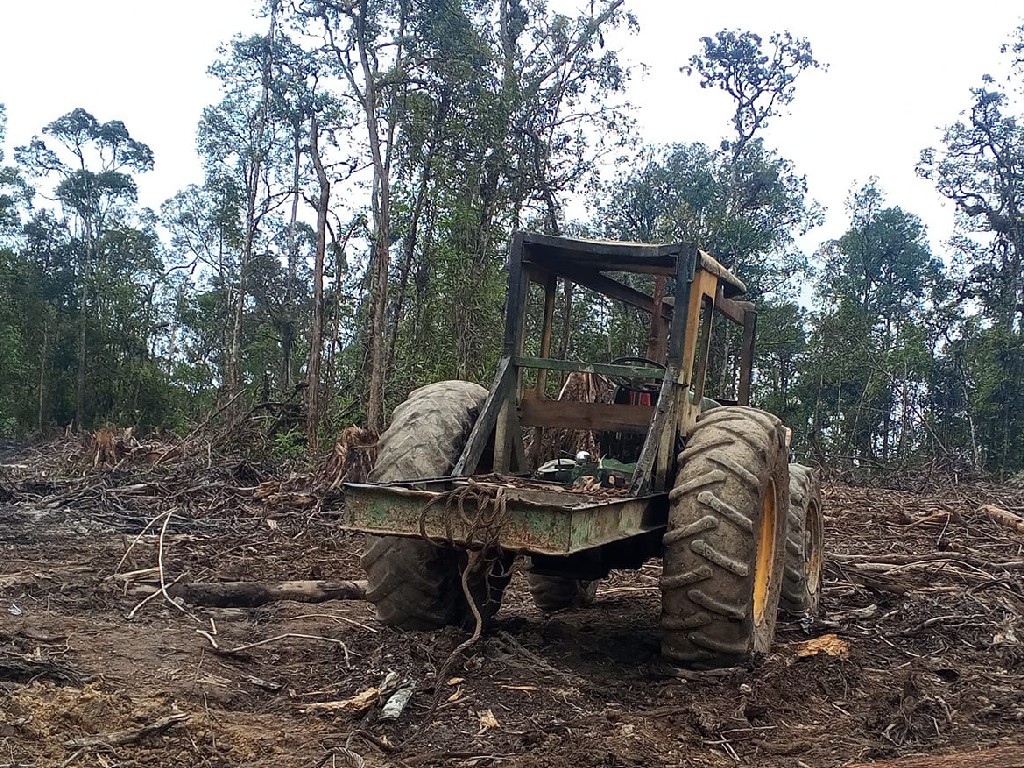 Kronologis Penangkapan 34 Warga Dairi yang Melawan PT Gruti Karena Menghabisi Hutan