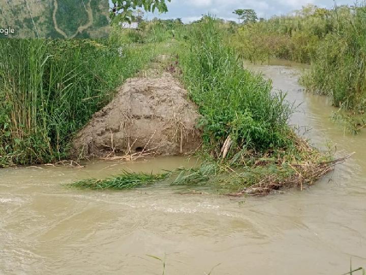Banjir Rendam 86 Rumah Warga di Luwu Utara