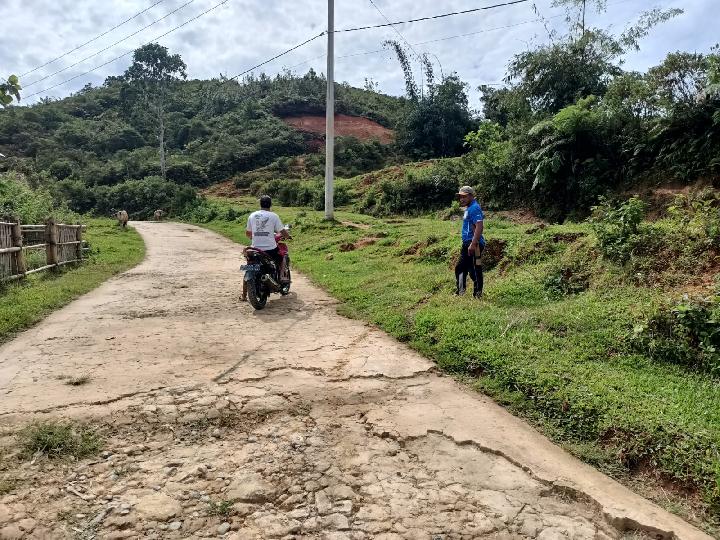 Maling Sapi di Bumal Mamasa Resahkan Warga, Diduga Pelaku Menggunakan Mobil