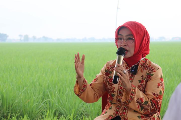 Tradisi Adat Pasang Panjeran, Wabup Cirebon: Harus Dipertahankan