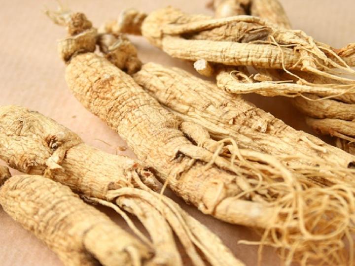 Ginseng Jawa, Bisa Obat Kuat dan Peningkat Daya Tahan Tubuh