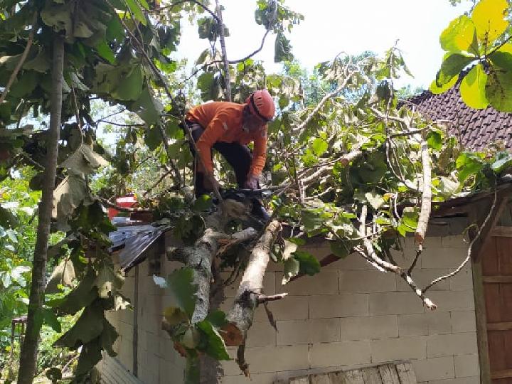 Angin Kencang di Grobogan Jawa Tengah, 25 Rumah Warga Rusak 
