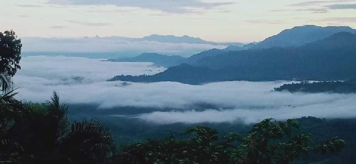 Objek Wisata Puncak Tante Bojo Surga Tersembunyi di Tampak Loppo Mamasa