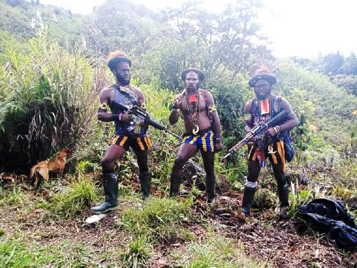 KKB Bakar Puskesmas dan Serang TNI/Polri di Puncak, Papua Tengah