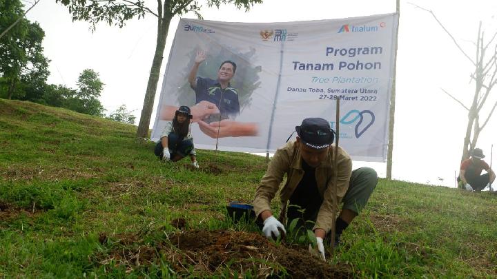 Jadi Tuan Rumah Bakti BUMN Indonesia, Inalum Tanam Pohon di Danau Toba