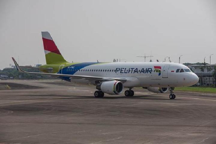 Datangkan Airbus 320, Pelita Air Service Siap Masuki Bisnis Penerbangan Regular