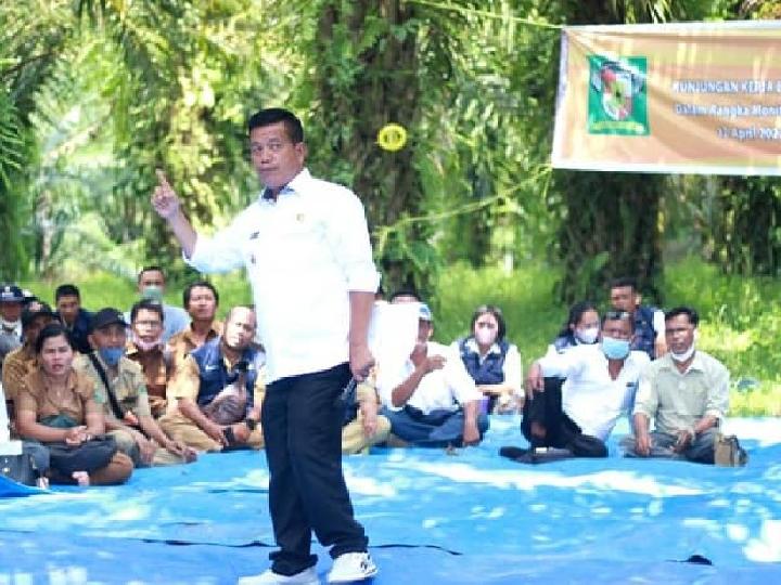 Simalungun Hanya Mendapat 17 Ribu Ton Pupuk Bersubsidi dari Pemerintah Pusat