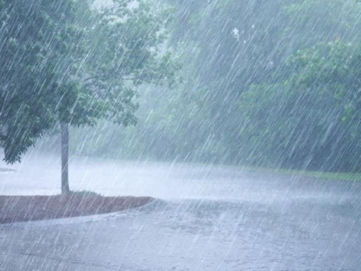 BMKG Keluarkan Peringatan Hujan Lebat Disertai Petir di Sejumlah Provinsi