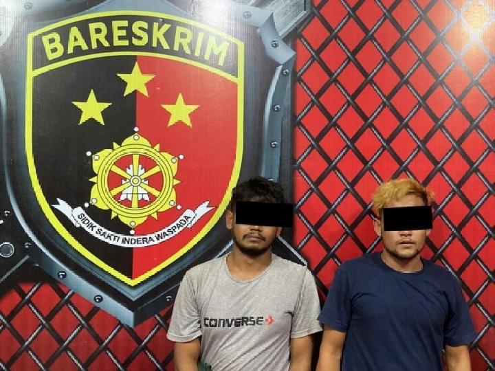 Angkut Getah Pinus Ilegal, Resmob Polres Abdya Tangkap Dua Pelaku