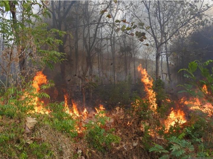 Lima Hektare Lahan di Aceh Terbakar di Tengah Kemarau