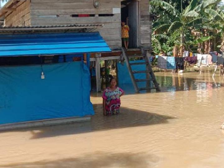 Akibat Tingginya Curah Hujan, Petani di Mamuju Potensi Gagal Panen