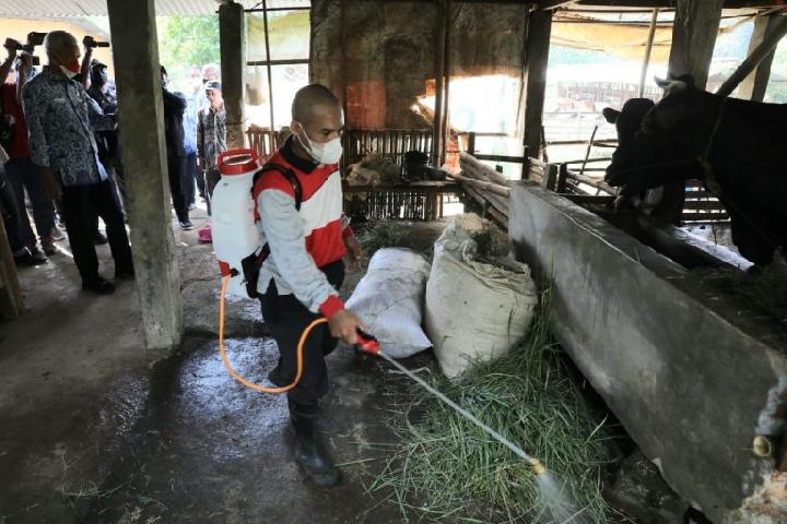 Daerah Terdeteksi Penyakit Mulut dan Kuku di Jateng Dapat Bantuan