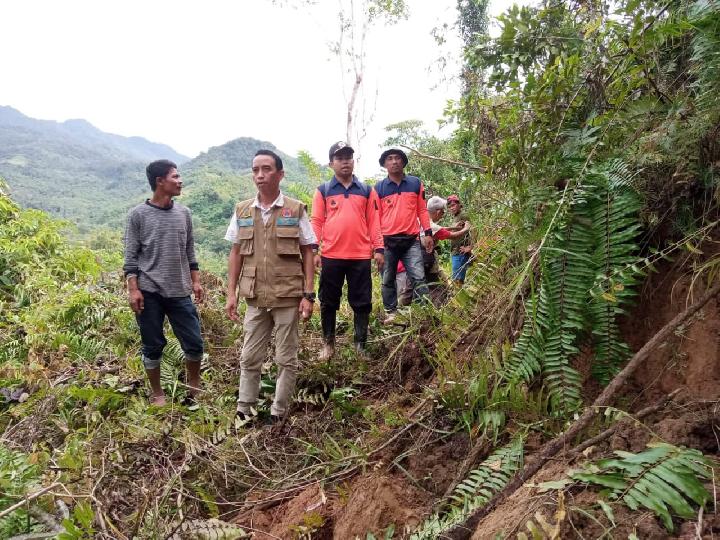 BPBD Mamuju Temukan Retakan Tanah di Kalumpang, Warga Diminta Waspada