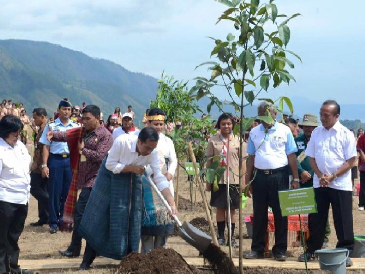 Menanam Pohon di Kawasan Danau Toba, Citra atau Peduli? Awas Terbakar Lagi