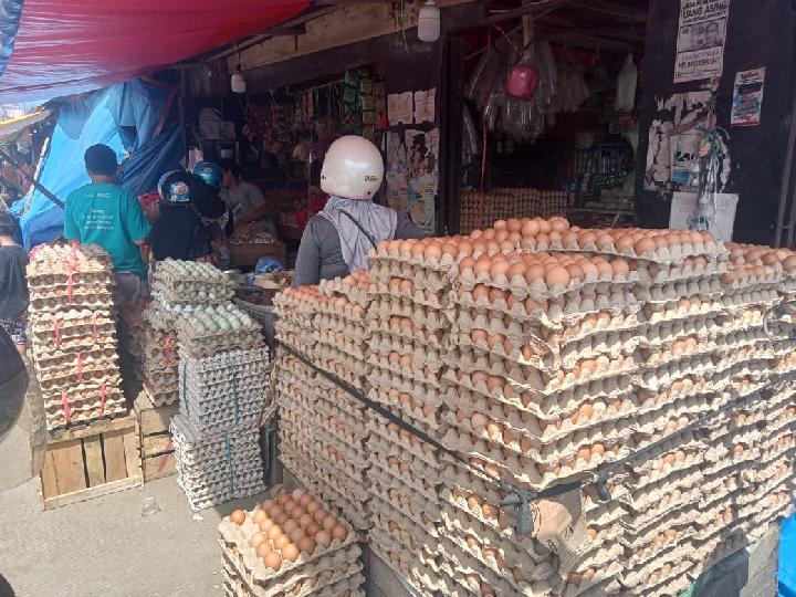 Harga Telur di Mamuju Sulawesi Barat Tembus Rp 50 Ribu per- Rak