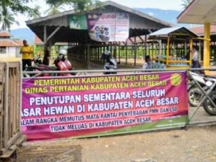Sejumlah Pasar Hewan di Aceh Timur Ditutup Gegara PMK