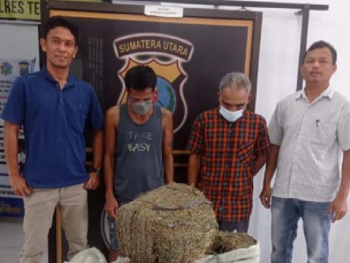 Hendak Diedarkan ke Batubara, 50 Kg Ganja Disita dalam Bus di Pintu Tol Tebing Tinggi