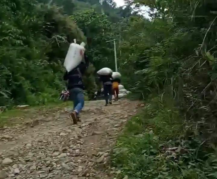 Akibat Jalan Rusak, Warga Mamasa Terpaksa Pikul Hasil Bumi