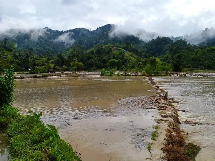 Air Sungai Meluap, Puluhan Hektar Sawah di Pangandaran Mamasa Gagal Panen