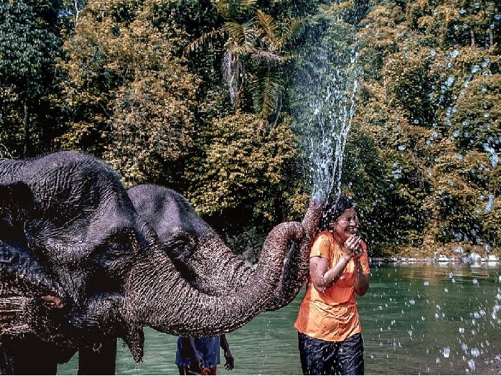 Tangkahan, Surga yang Tersembunyi di Kabupaten Langkat Sumut