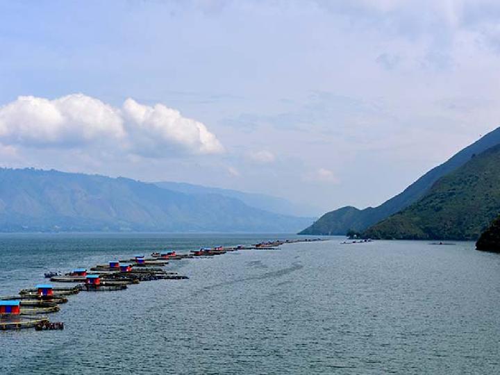 Ratnauli Gultom: Aquafarm Merusak Danau Toba