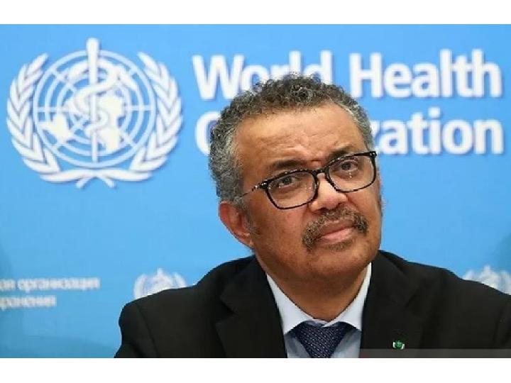 Tedros WHO Temui Presiden Jokowi di Istana, Bahas Apa?