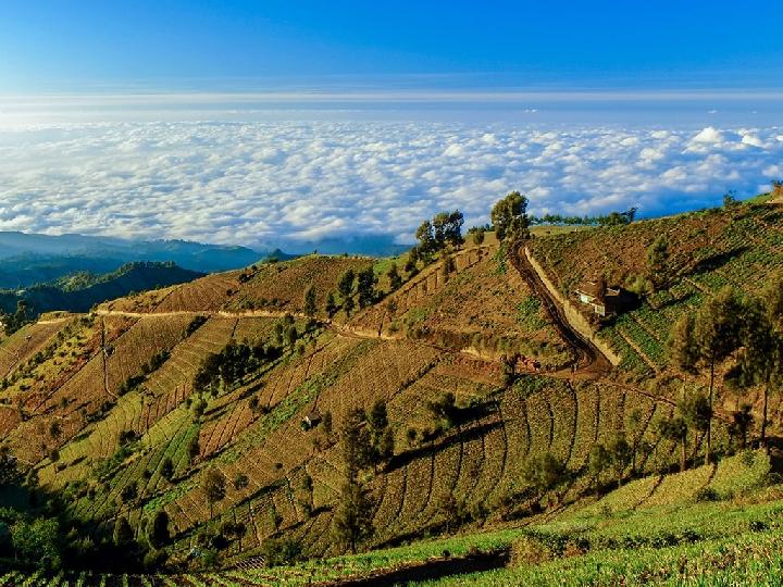 3 Spot Wisata di Sekitar Gunung Bromo, Pilihan Jelajah Akhir Pekanmu