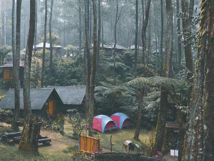 Bandung Punya 5 Spot Glamping Paling Keren