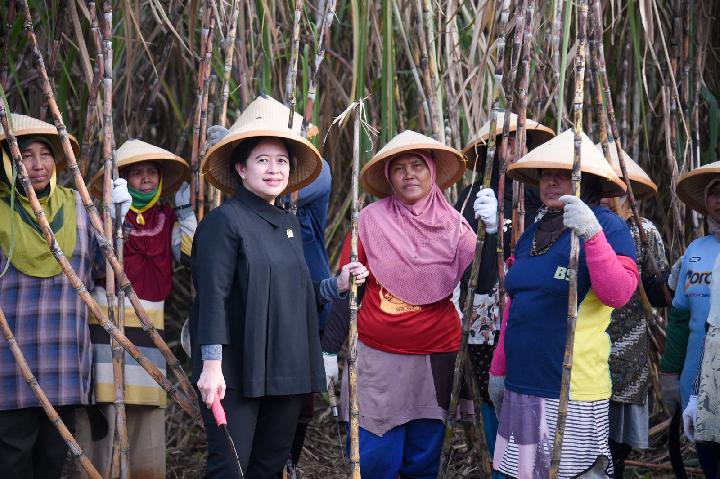 Di Hadapan Puan, Bupati Cirebon Janji Siap Sukseskan Program Pusat