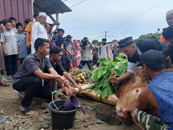 Sapi Kurban Presiden Jokowi Disembelih, Akmal: Dagingnya untuk Warga yang Berhak