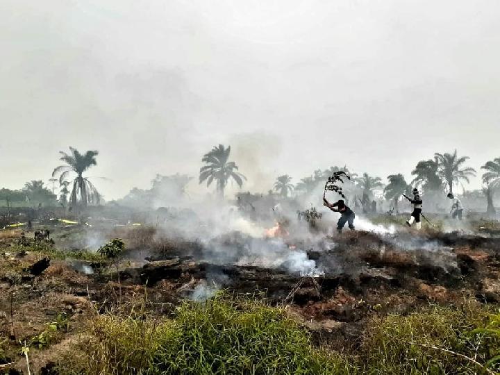 Tiga Hektare Lahan Gambut di Aceh Selatan Terbakar